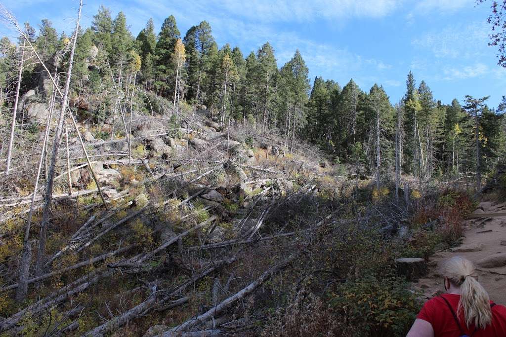 Devils Head Campground | Sedalia, CO 80135, USA