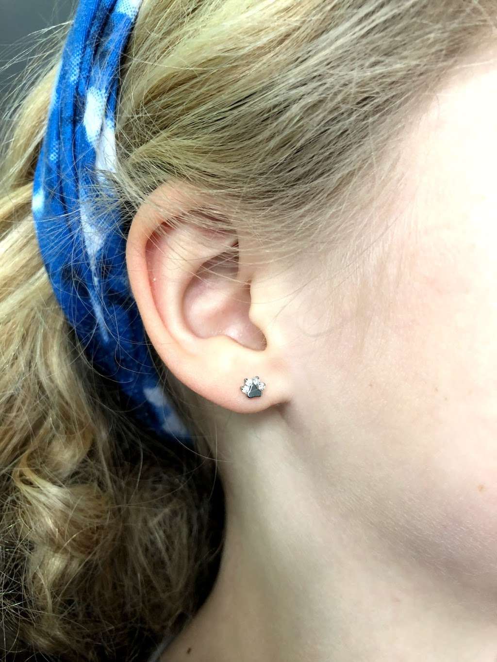 Klas Piercing and Tattoo | 5429, 38 Terry Dr, Sugar Grove, IL 60554, USA | Phone: (630) 962-8072