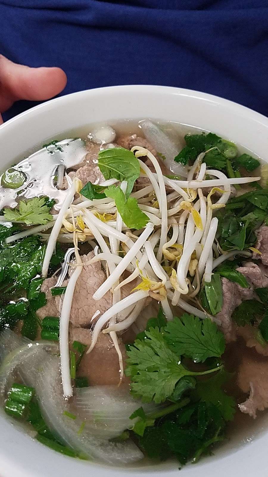 Pho Dat Vietnamese Cafe | 18024 TX-105 #600, Montgomery, TX 77356 | Phone: (936) 582-0116