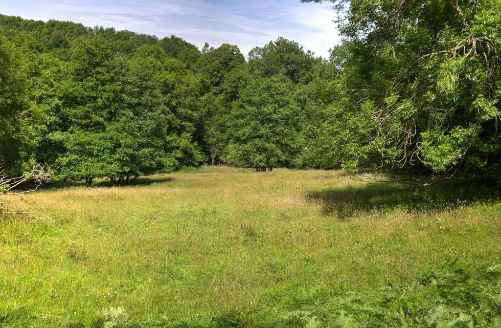 Cowden Pound Pastures | Unnamed Track, Edenbridge TN8 5NL, UK