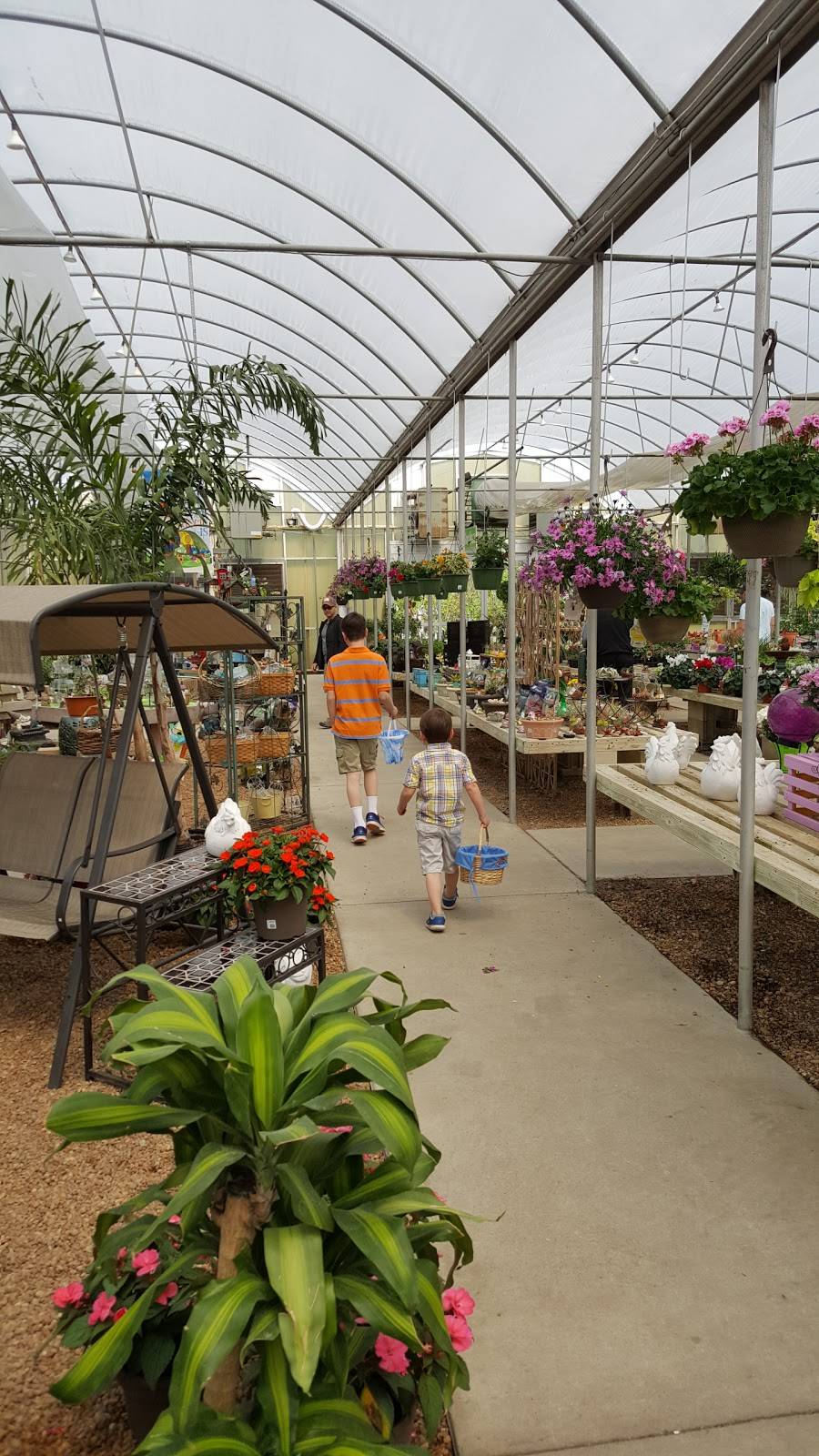 Whites Nursery & Greenhouses | 3133 Old Mill Rd, Chesapeake, VA 23323, USA | Phone: (757) 487-1300