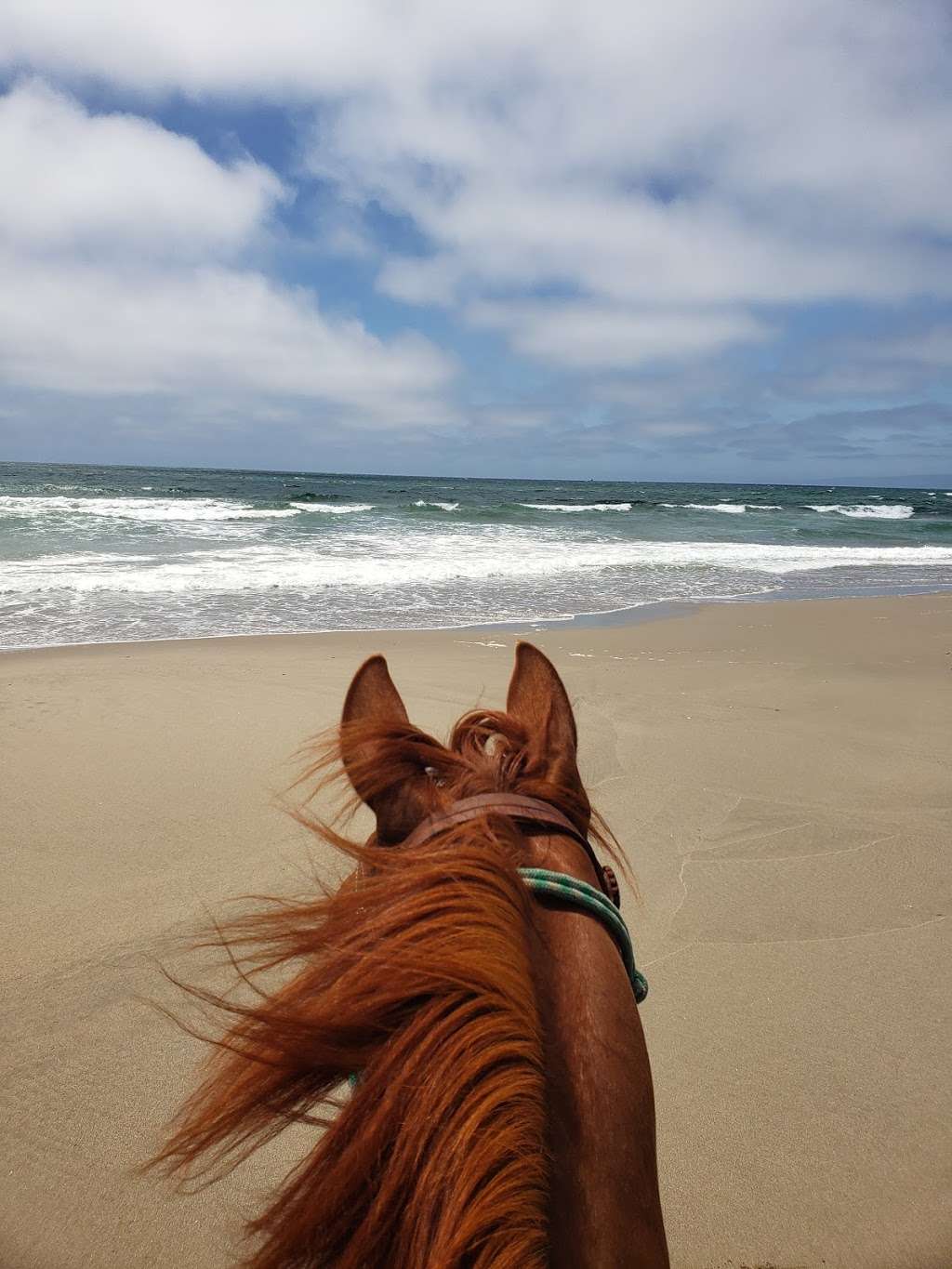 Thorsons Arena | 2005 Hayes Ln, San Martin, CA 95046, USA | Phone: (408) 310-7754