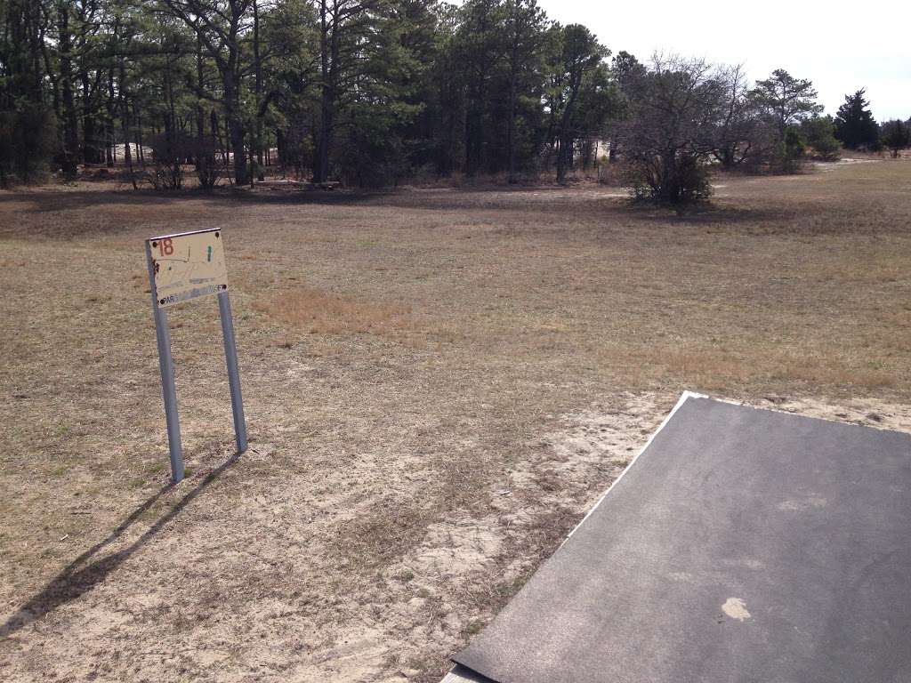 Cape Henlopen Disc Golf Course | Lewes, DE 19958, USA