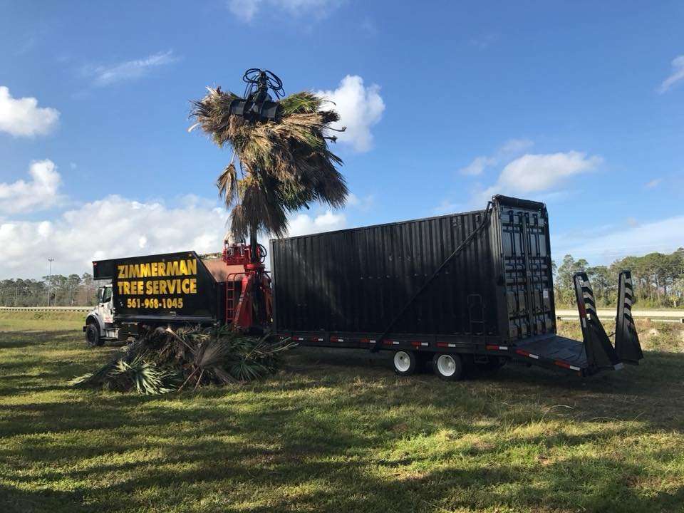 Home - Palm Beach County Tree Trimming and Tree Removal Services