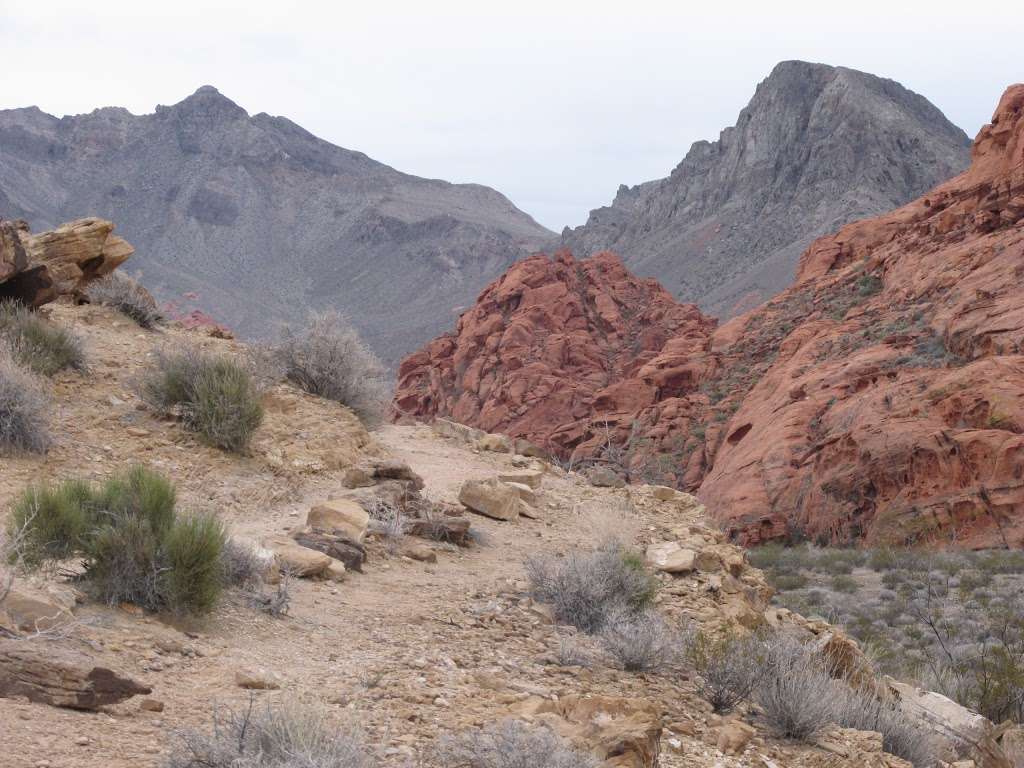 Beehives | Valley of Fire Hwy, Overton, NV 89040