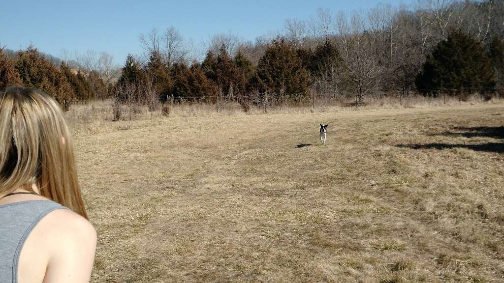 Kill Creek Streamway Dog Park | 33460 W 95th St, De Soto, KS 66018, USA