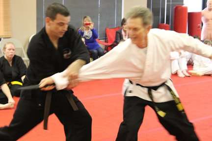 Lees Martial Arts | 3822 W 3rd St, Bloomington, IN 47404, USA | Phone: (812) 333-3002