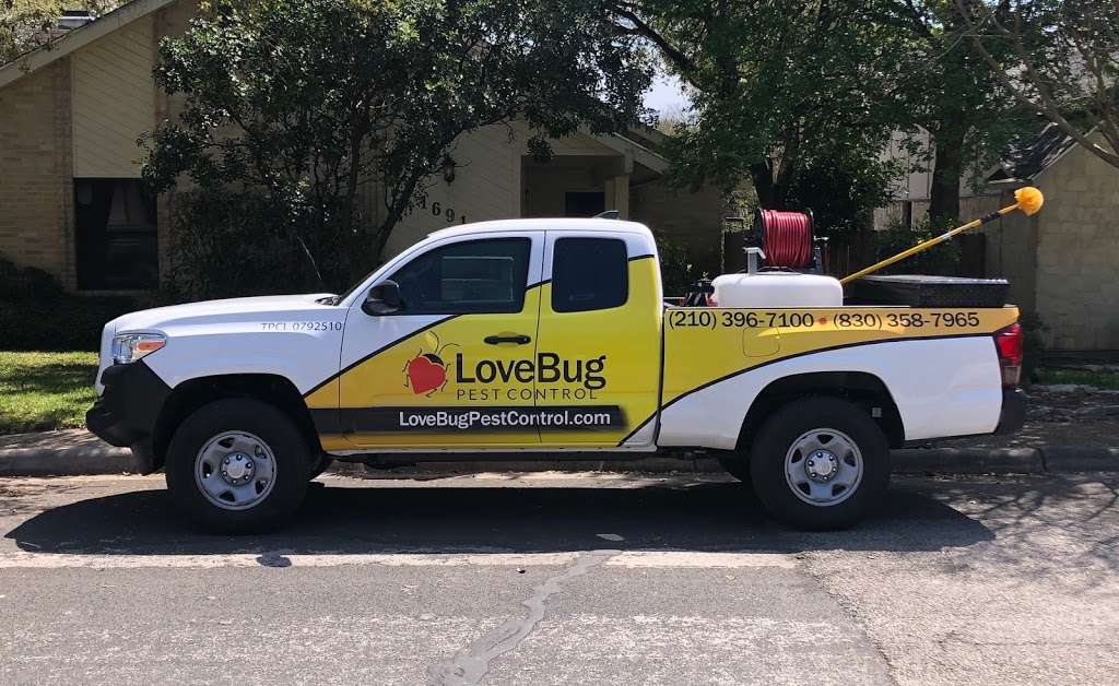 LoveBug Pest Control | 17170 Jordan Rd Ste. 402, Selma, TX 78154, USA | Phone: (210) 396-7100 LoveBug Pest Control | 17170 Jordan Rd Ste. 402, Selma, TX 78154, USA | Phone: (210) 396-7100