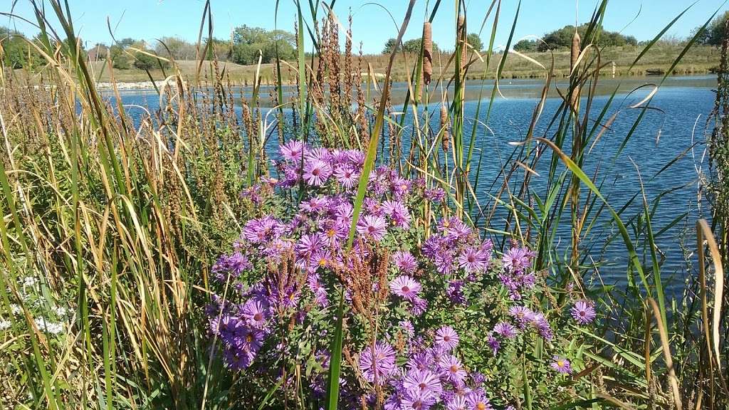 Plum Grove Reservoir Park | Palatine, IL 60067, USA