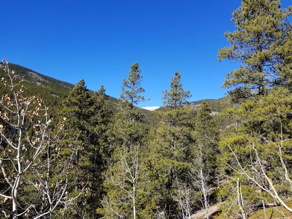 Meridian Trailhead | Bailey, CO 80421, USA