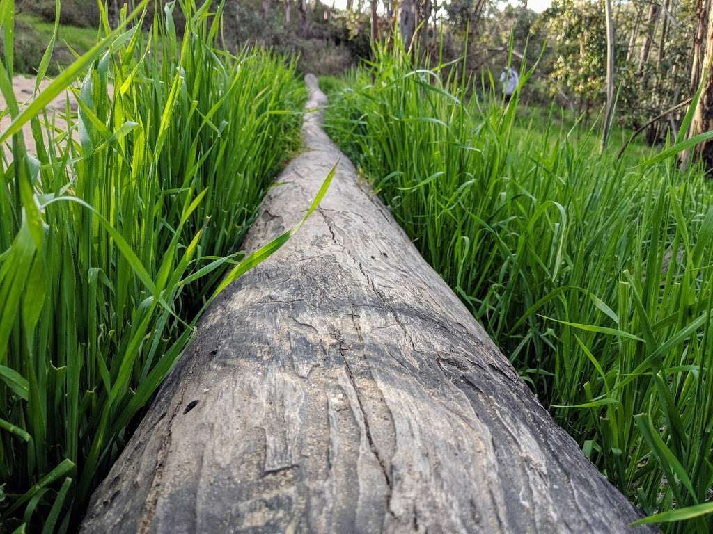 Peters Canyon Regional Park | 8548 Canyon View Ave, Orange, CA 92869, USA | Phone: (714) 973-6611