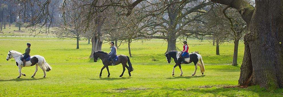 Operation Centaur | Holly Lodge, Richmond TW10 5HS, UK