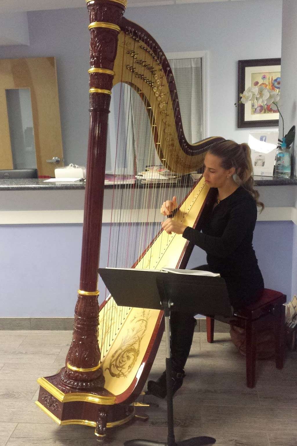 Harp and Soul-Philadelphia Harpist | 1199 Grosstown Rd, Pottstown, PA 19464 | Phone: (610) 764-9153