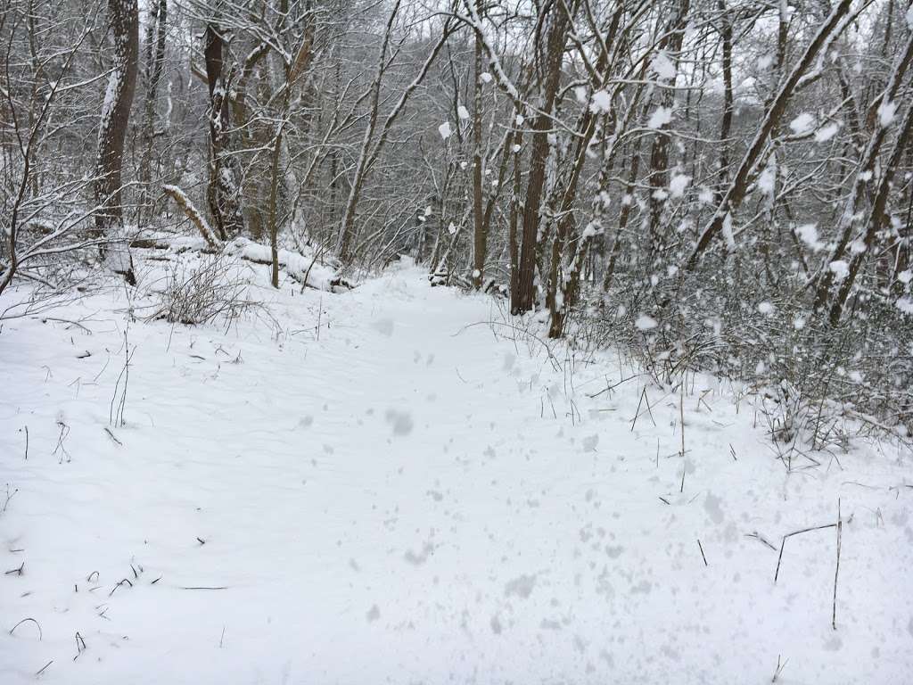 Fox Hollow Nature Preserve | 39°5356. 76°2030., 5 W 4th St, Quarryville, PA 17566, USA