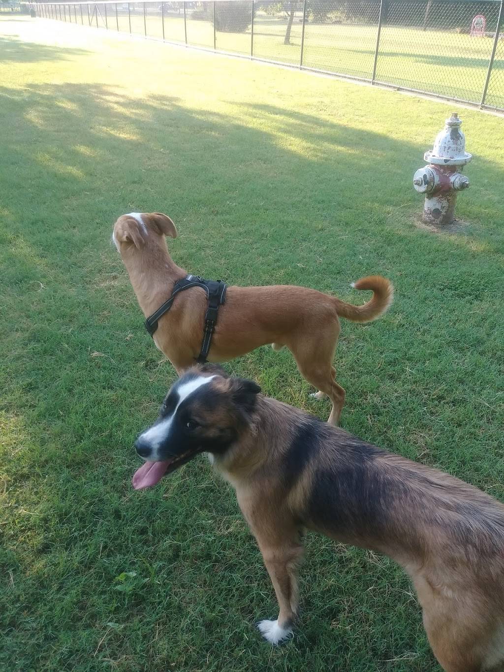 Euless Dog Park | 40621944, Euless, TX 76039