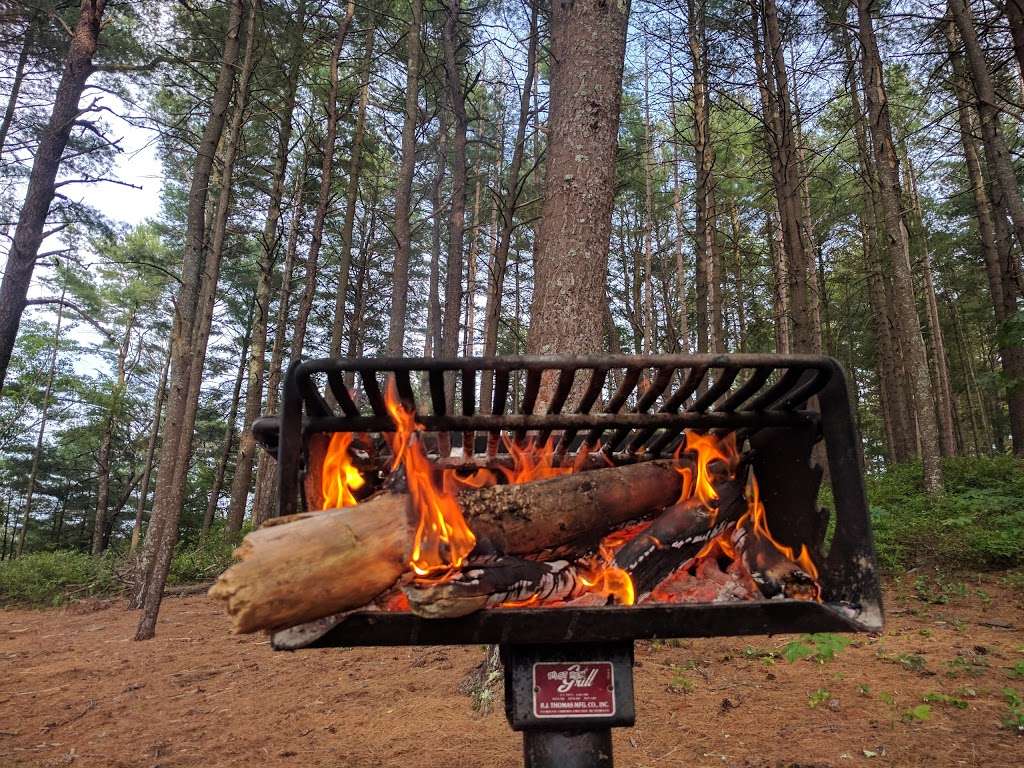 Myles Standish State Forest | 194 Cranberry Rd, Carver, MA 02330, USA | Phone: (508) 866-2526