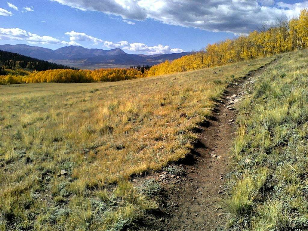 Colorado Trail Section #5 Trailhead | Colorado Trail, Jefferson, CO 80456, USA