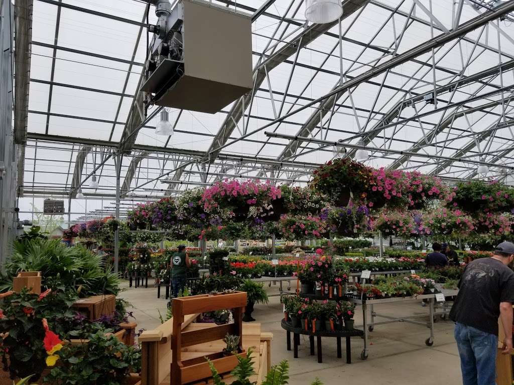 Wasson Nursery | 13279 E 126th St, Fishers, IN 46037 | Phone: (317) 770-3321