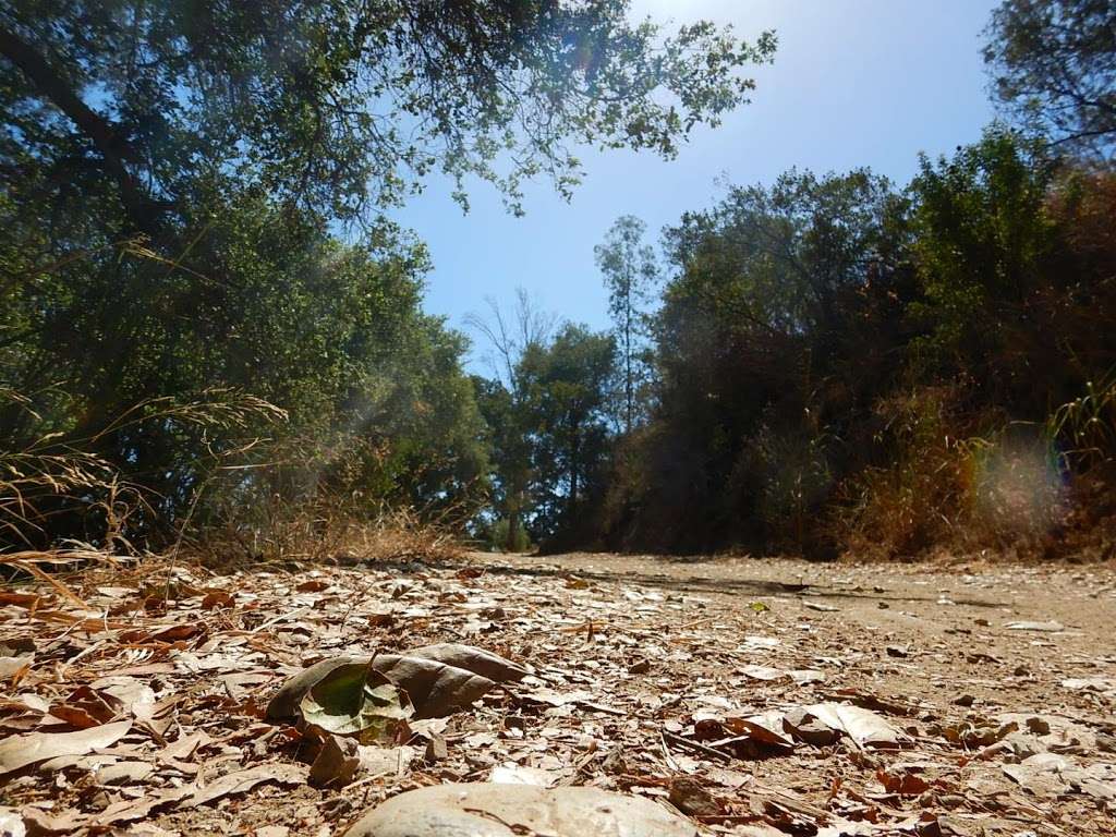 Backbone Trail Head, Will Rogers State Park | 1515 Service Rd, Pacific Palisades, CA 90272