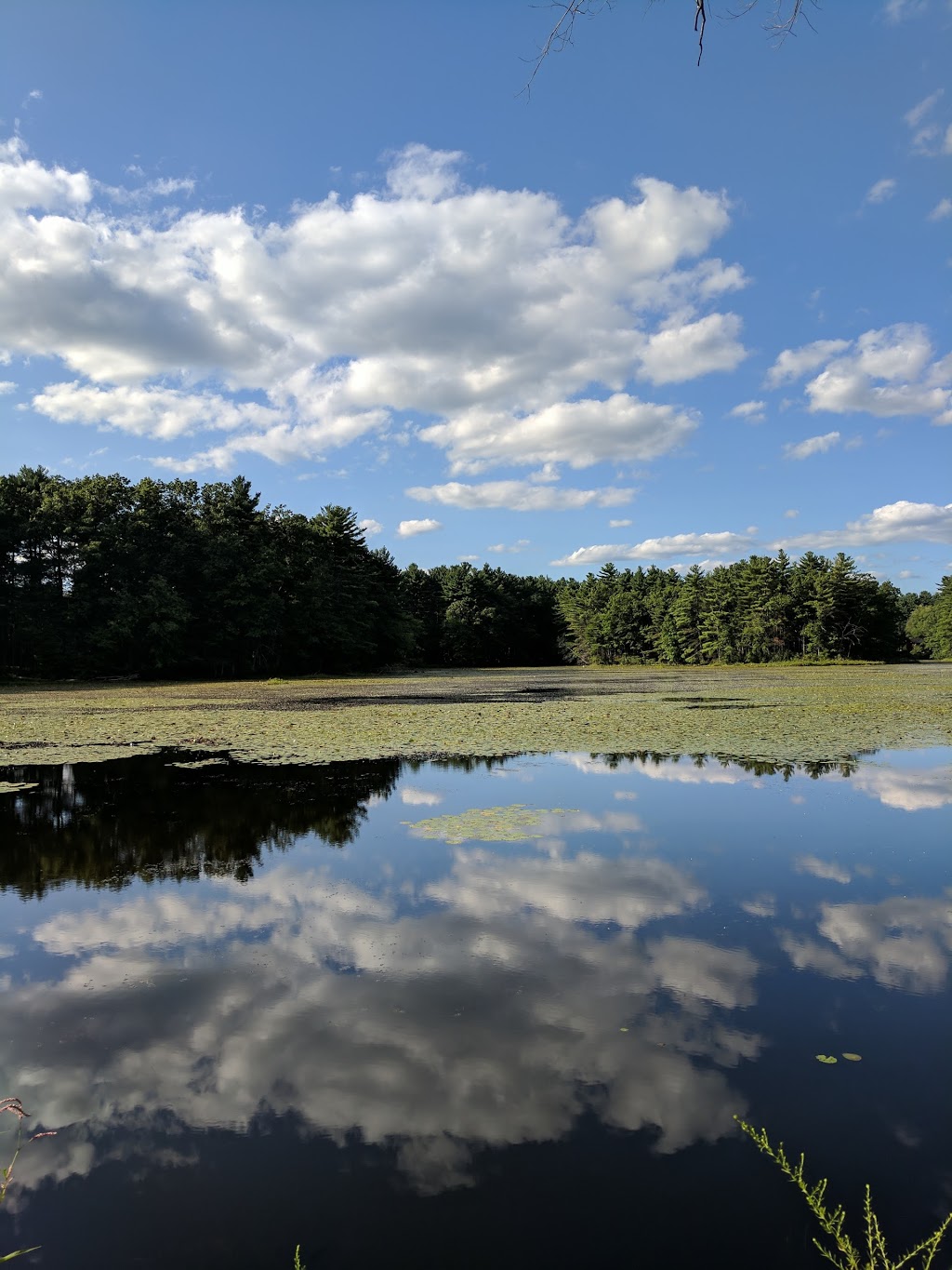 Cranberry Bog Reservation parking | 65 Elm St, Chelmsford, MA 01824 | Phone: (978) 250-5201