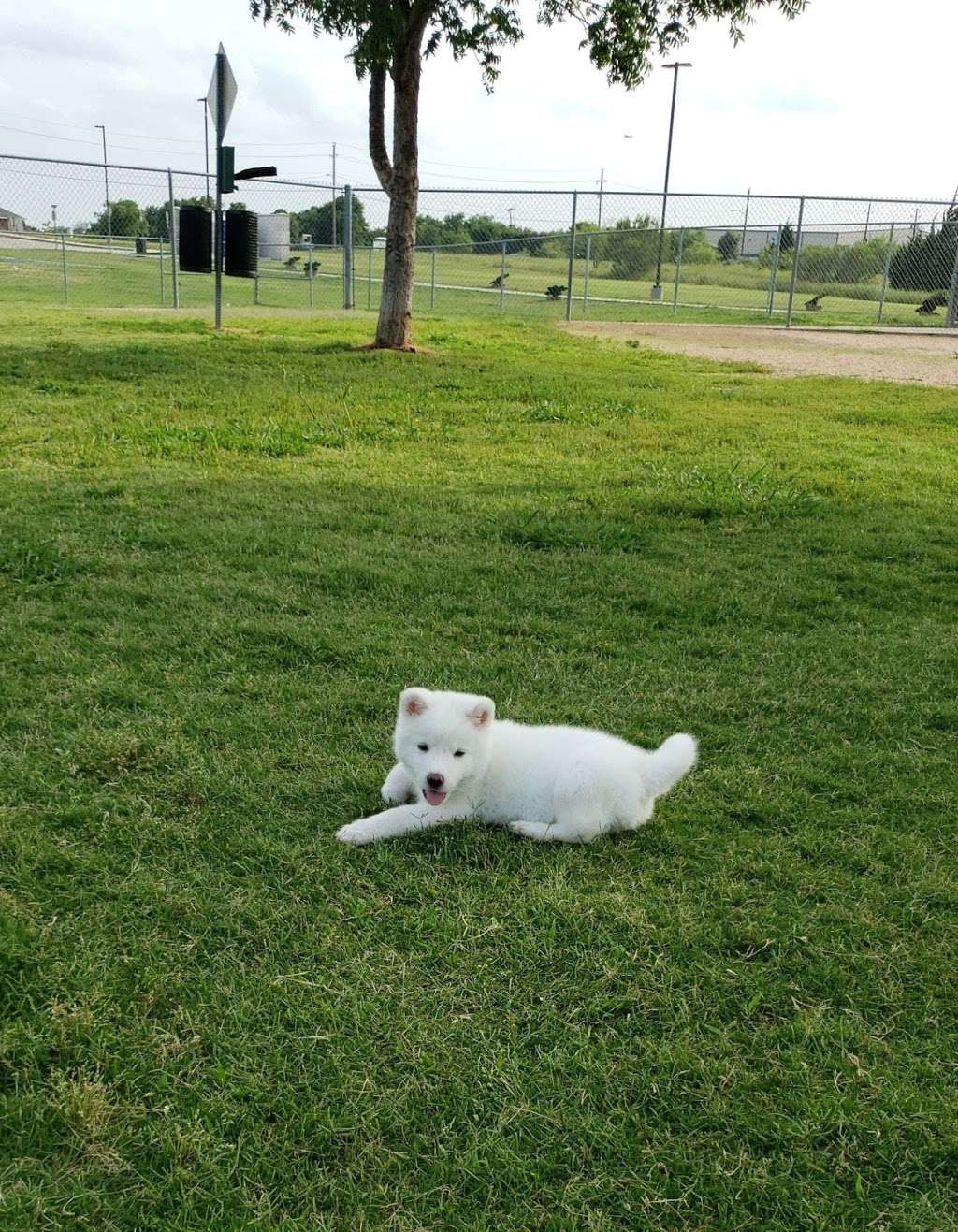 Central Bark Dog Park | 7445, 2222 W Warrior Trail, Grand Prairie, TX 75052, USA | Phone: (972) 237-8575