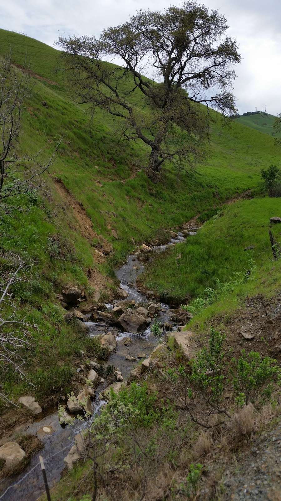 Black Diamond Hiking Trail Near Oakhurst | Black Diamond Trail, Clayton, CA 94517, USA
