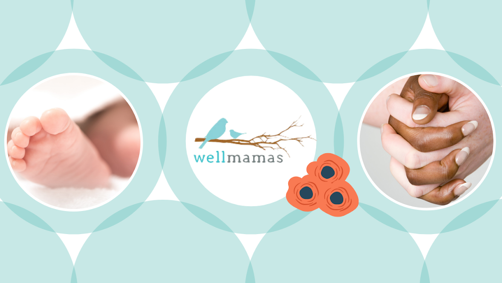 Well Mamas | 12416 E Vía De Arboles, Chandler, AZ 85249, USA | Phone: (480) 319-4413