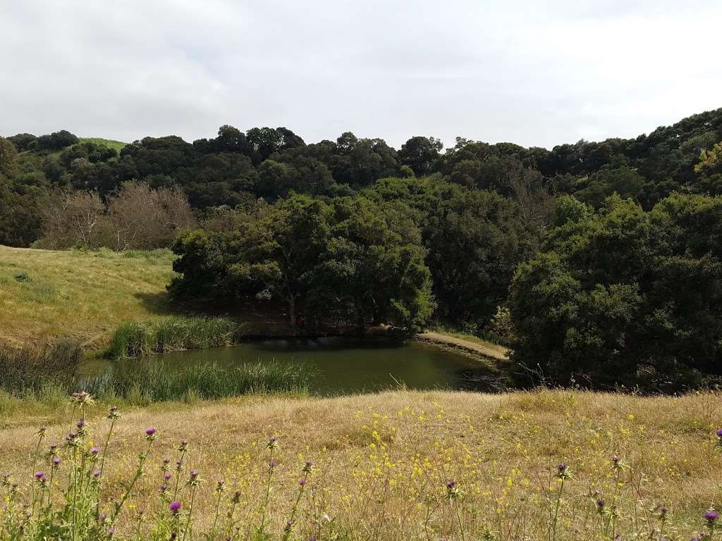 Dry Creek Staging Area | 100 May Rd, Union City, CA 94587, USA | Phone: (888) 327-2757