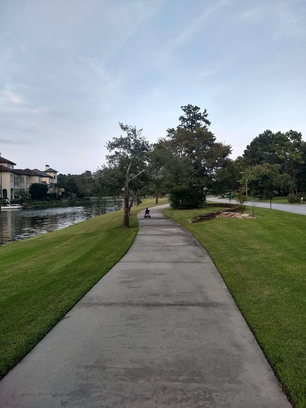 The Cove Park | 31 Leeward Cove Dr, The Woodlands, TX 77381, USA