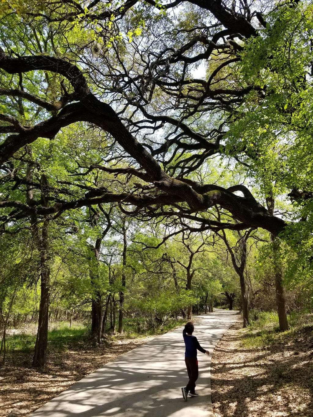 Oxbow Park Trailhead | 11615 Spring Crest, San Antonio, TX 78249, USA