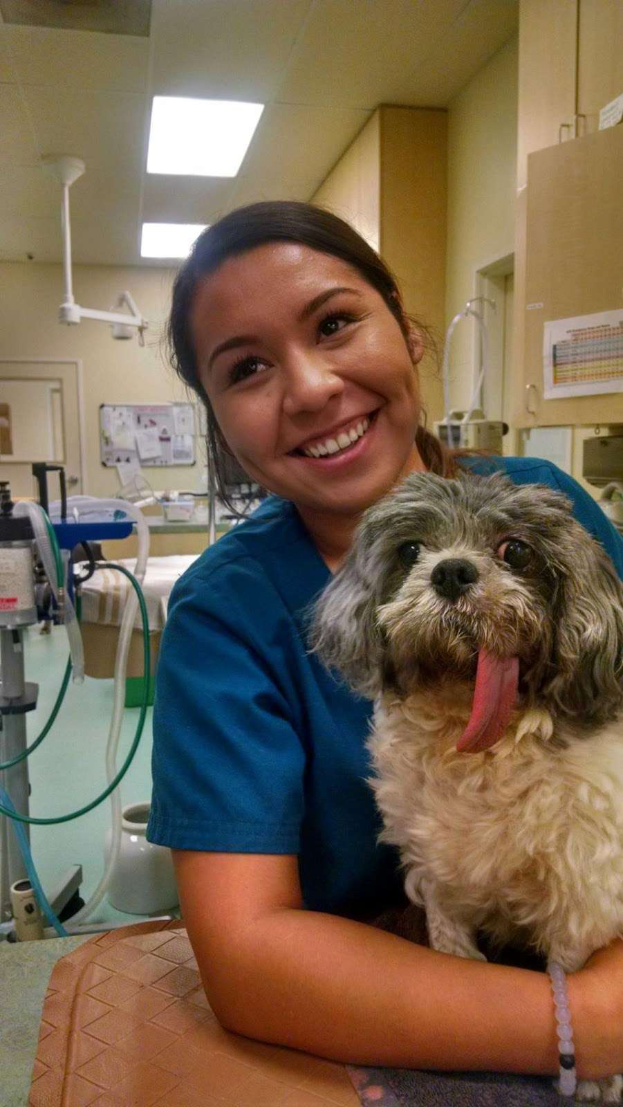 Advanced Veterinary Internal Medicine | Desk 3, 2965 Edinger Ave, Tustin, CA 92780, USA | Phone: (949) 653-2846