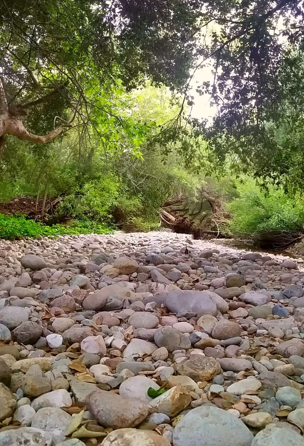 San Clemente Canyon Trailhead Parking Lot | San Diego, CA 92117, USA