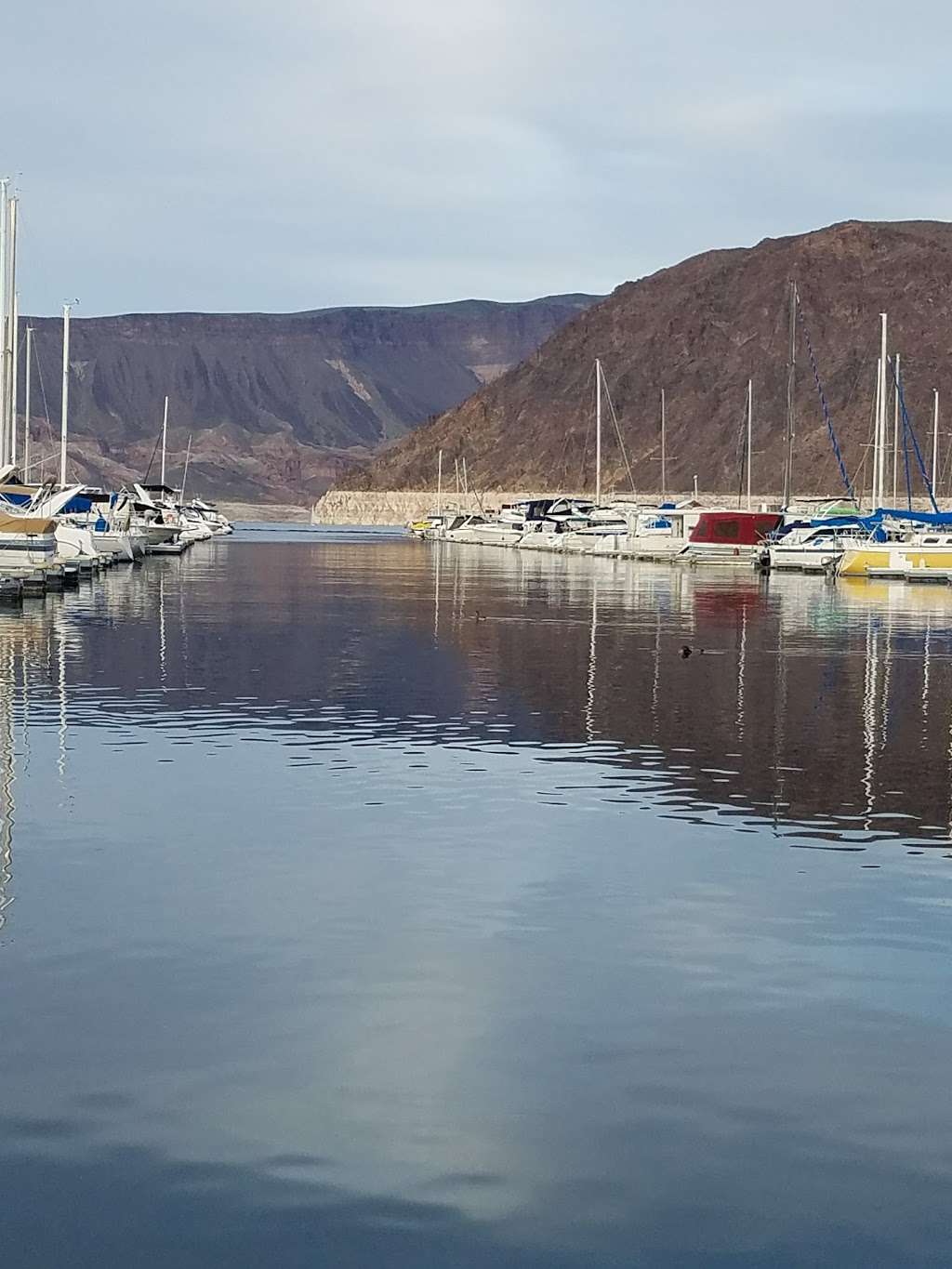 Lake Mead Marina | 490 Horsepower Cove, Boulder City, NV 89005, USA | Phone: (702) 293-3484