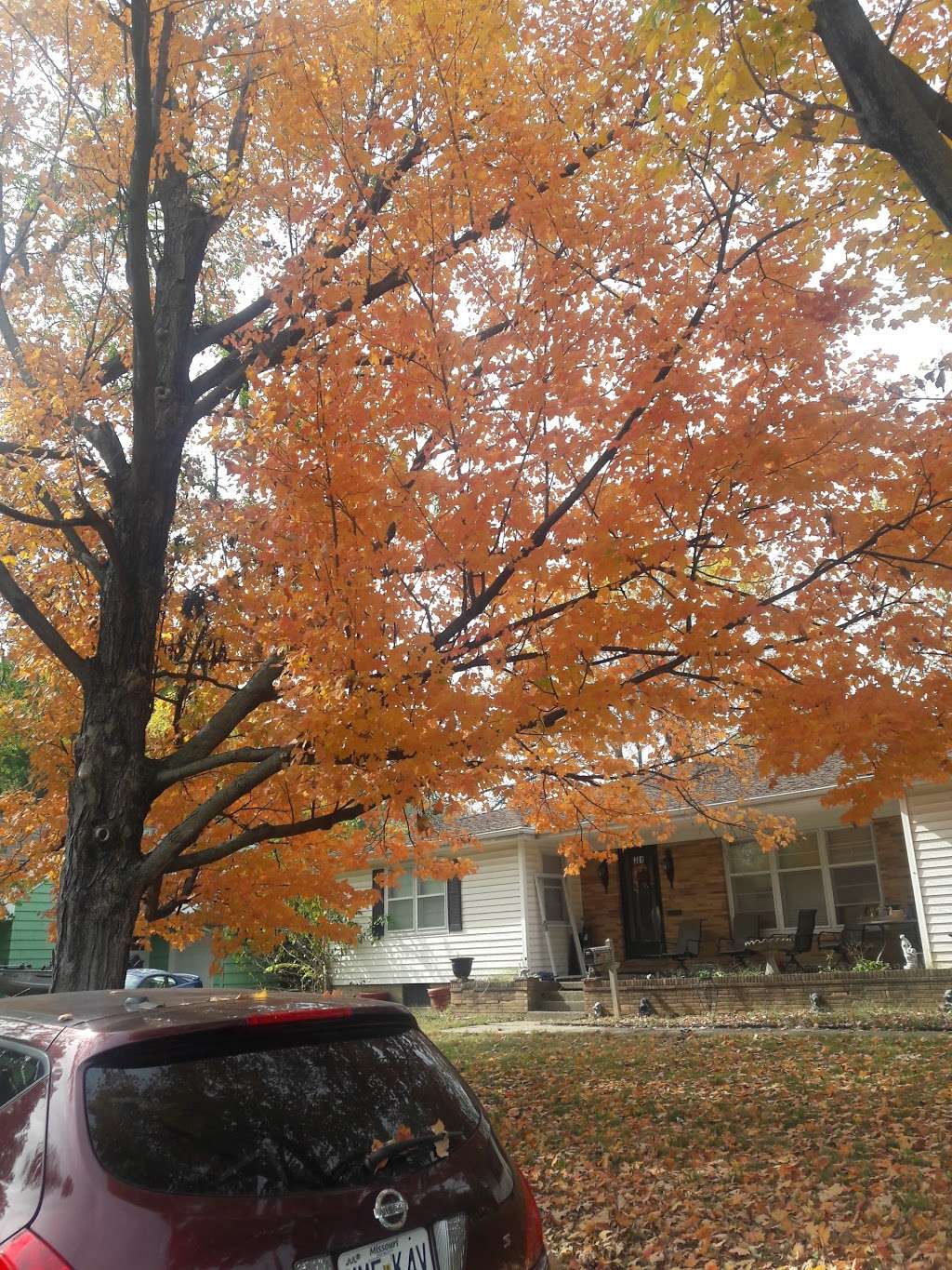 Lighthouse Church | 1600 SW Smith St, Blue Springs, MO 64015, USA | Phone: (816) 229-9933