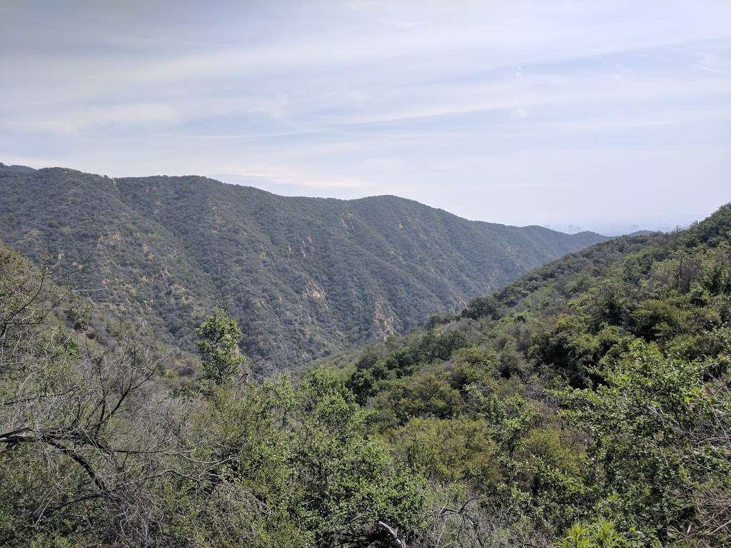 Temescal Canyon Park | 15900 Pacific Coast Hwy, Pacific Palisades, CA 90272, USA | Phone: (310) 836-1040