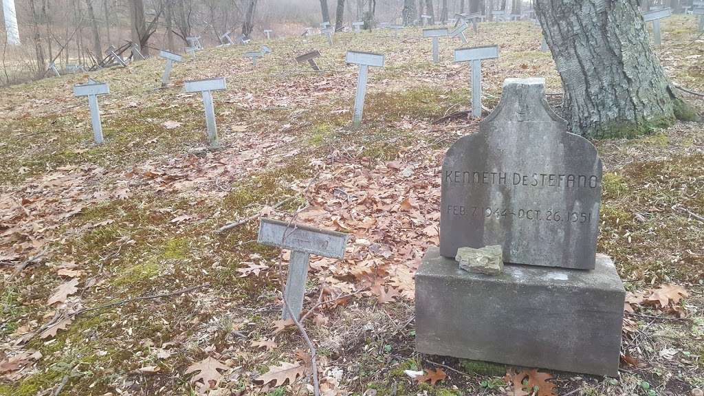 The Old Letchworth Village Cemetery | Stony Point, NY 10980, USA