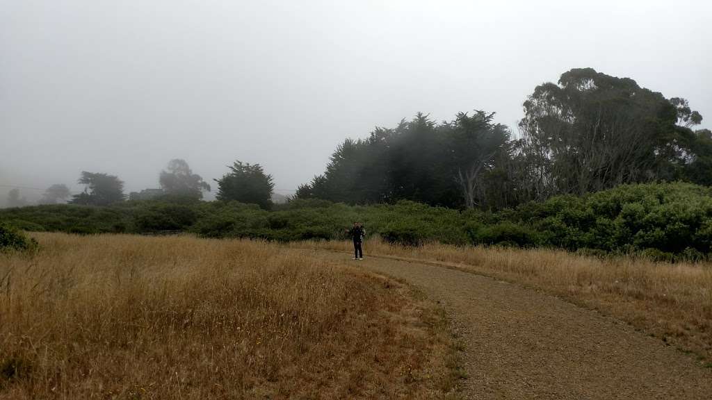 Coastal Prarie Trail Access | 2255 CA-1, Bodega Bay, CA 94923, USA