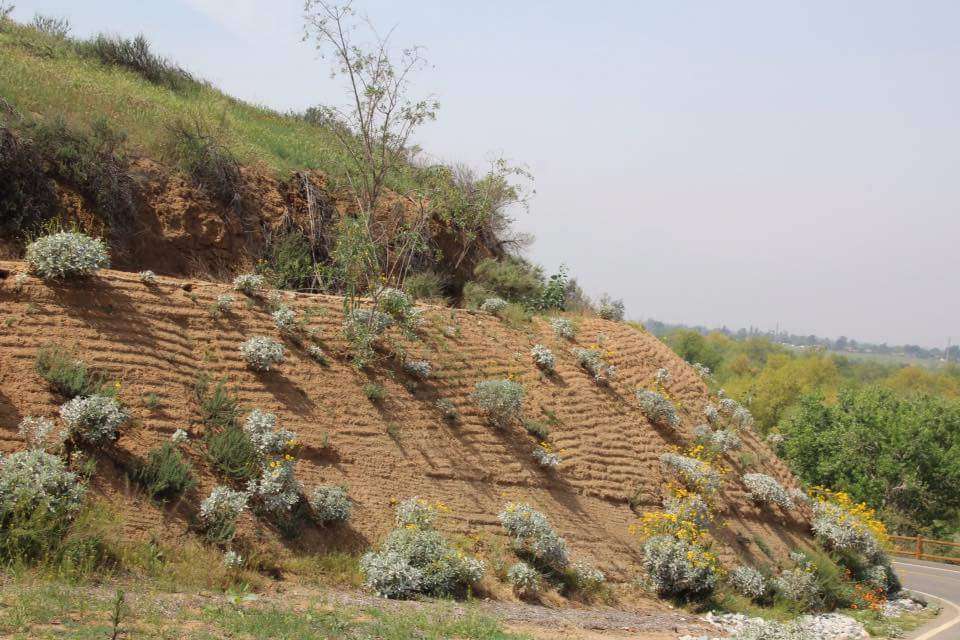 Hidden Valley Nature Center | 11401 Arlington Ave, Riverside, CA 92505, USA | Phone: (951) 785-7452