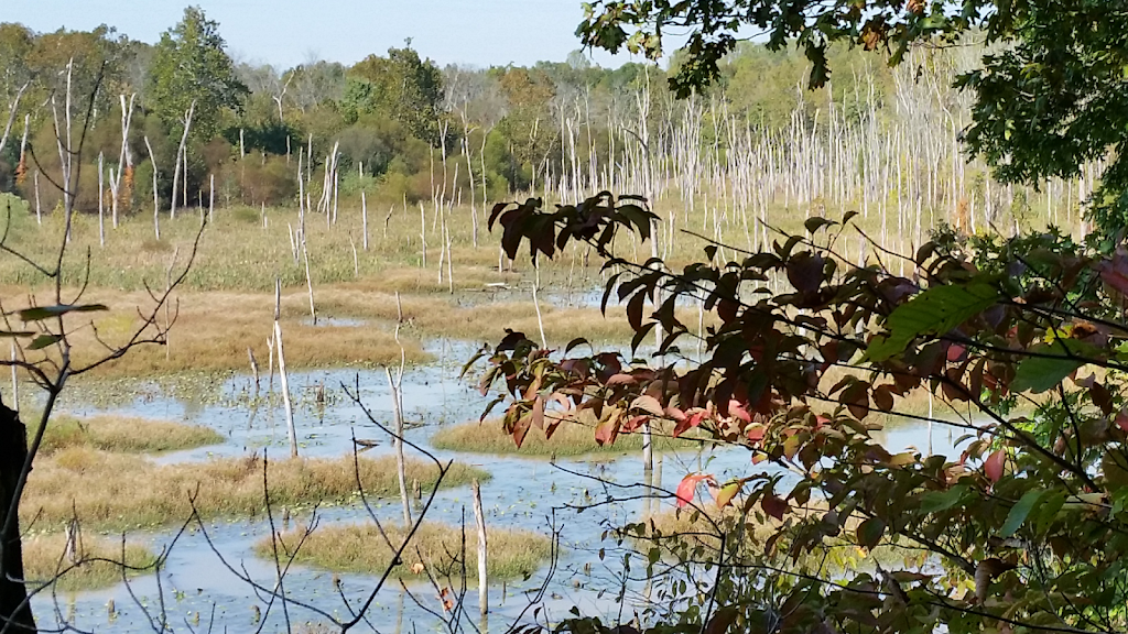 Western Branch Stream Valley Park | Upper Marlboro, MD 20772