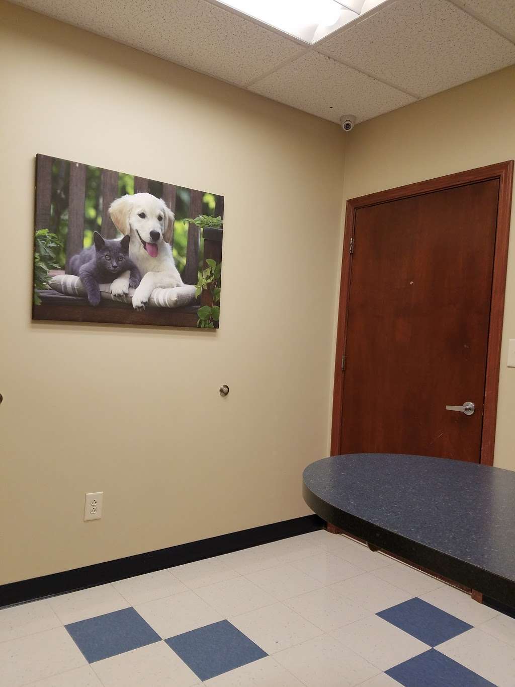 Bridgeview Animal Hospital | 7614, 11740 Olio Rd #300, Fishers, IN 46037 | Phone: (317) 841-3315