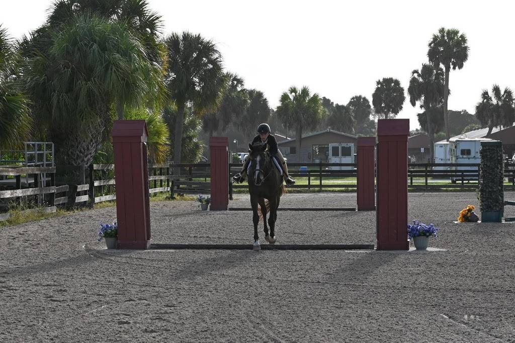Hoyer Show Stables | 3245 72nd Ave N, St. Petersburg, FL 33702, USA | Phone: (727) 688-5880