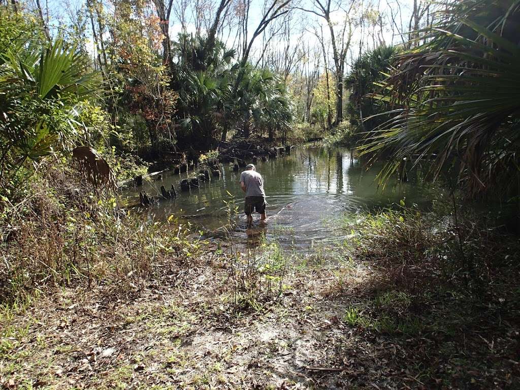 Seminole State Forest | Eustis, FL 32736 | Phone: (352) 360-6675