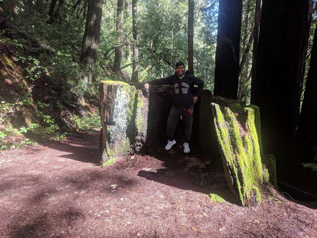 Redwood Hike Trail | Bennett Creek Trail, Felton, CA 95018, USA