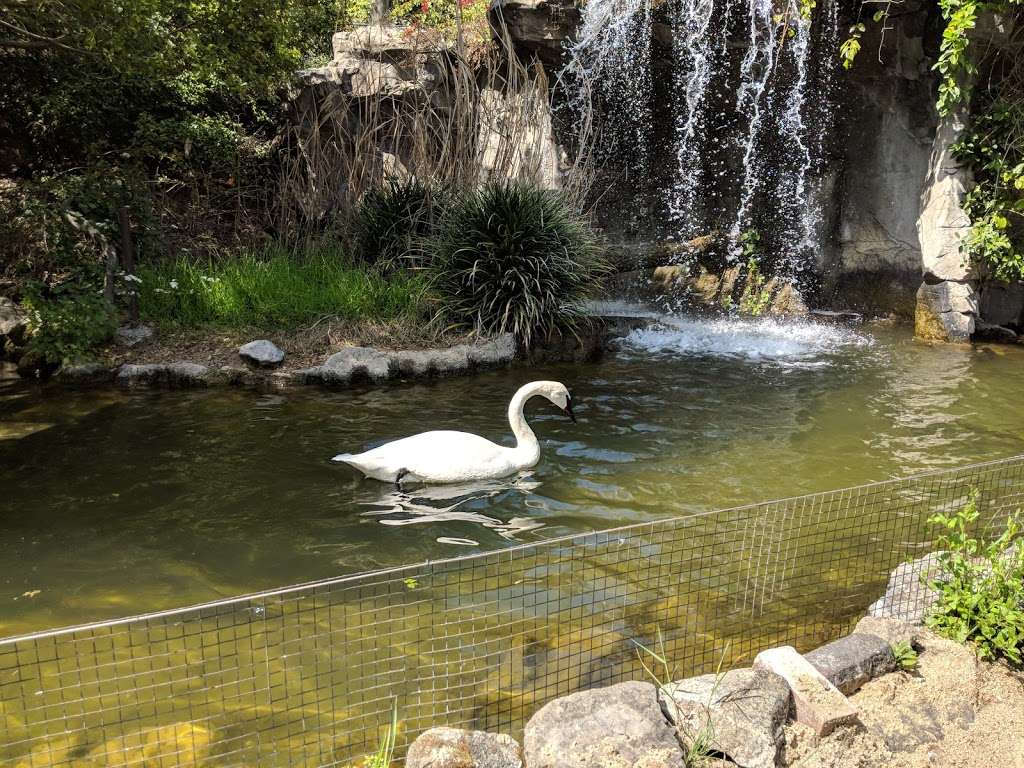 LA Zoo | Los Angeles, CA 90027, USA