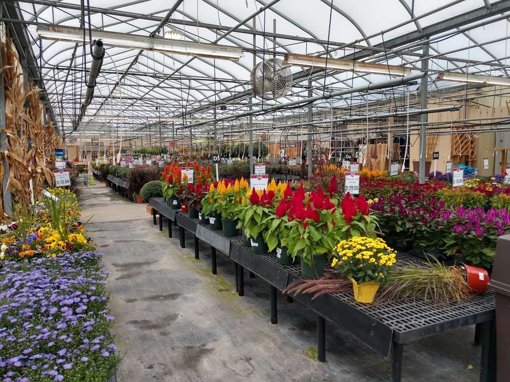 Stauffers of Kissel Hill Home & Garden Store - East York Locatio | 4450 Lincoln Hwy, York, PA 17406, USA | Phone: (717) 840-4026