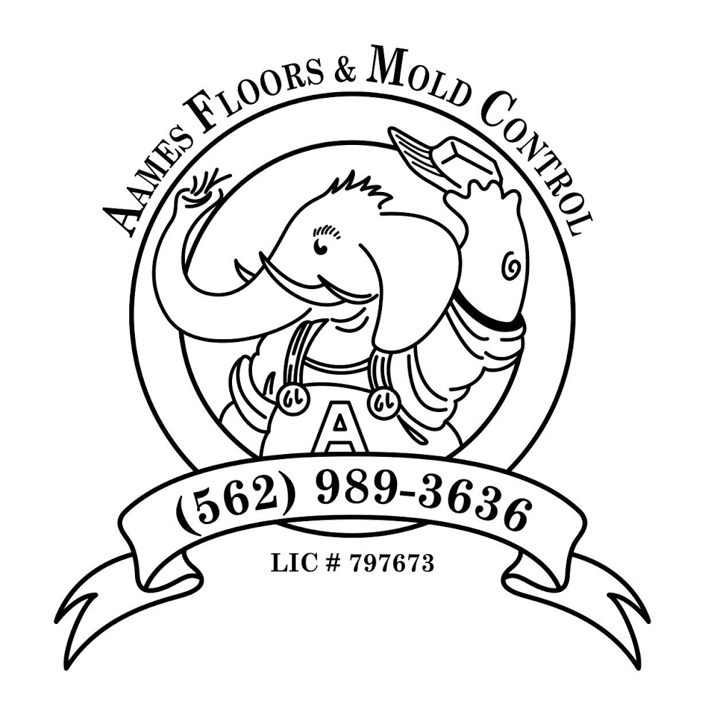 Aames Floors and Mold Control | 3226 E Willow St, Signal Hill, CA 90755, USA | Phone: (562) 989-3636