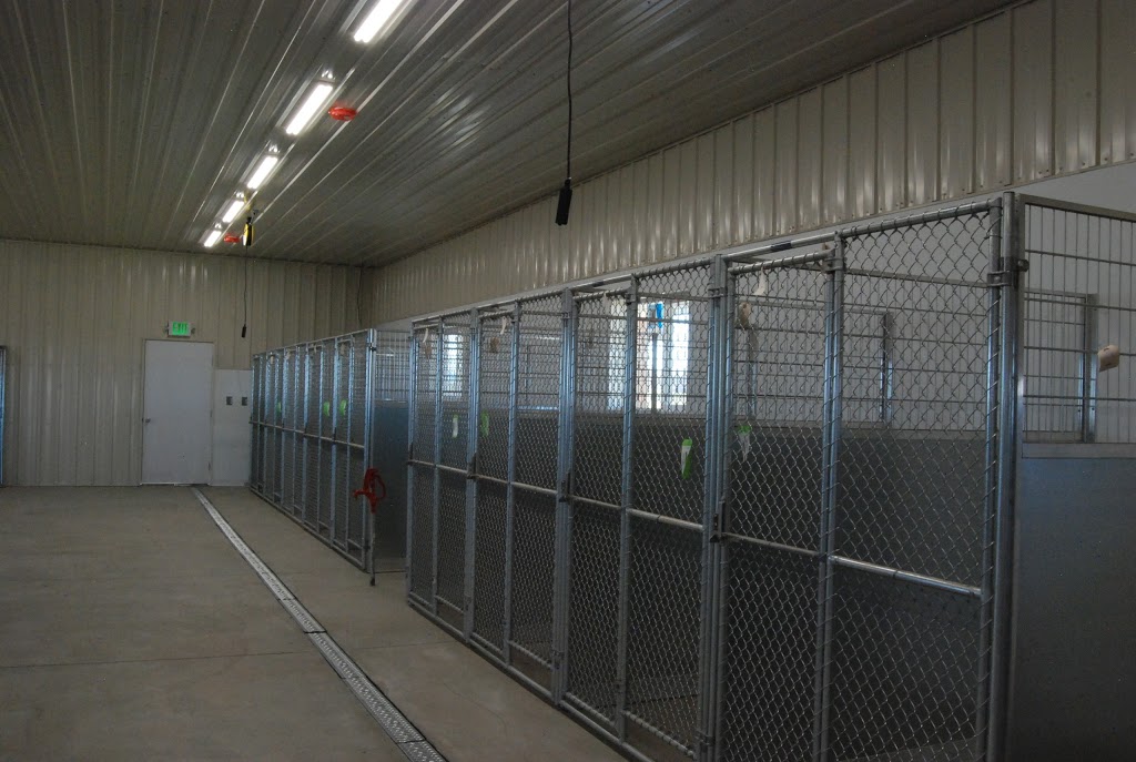 Rocky Mountain Kennels | 1066 Co Rd 32, Longmont, CO 80504, USA | Phone: (303) 651-3647