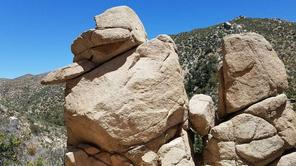 Mojave River Forks Regional Park | 17891 CA-173, Hesperia, CA 92345, USA | Phone: (760) 389-2322