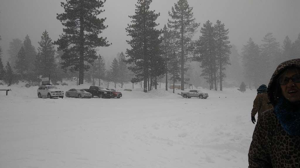 Snow Valley | California, USA