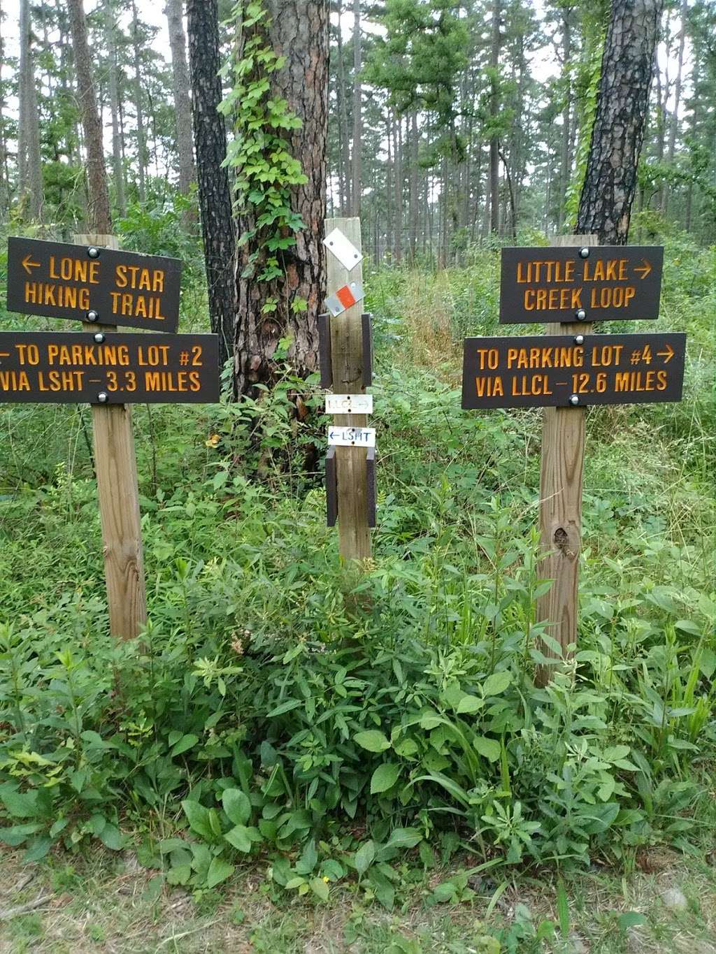 Lone Star Hiking Trail | Lone Star Hiking Trail, Richards, TX 77873, USA | Phone: (936) 344-6205